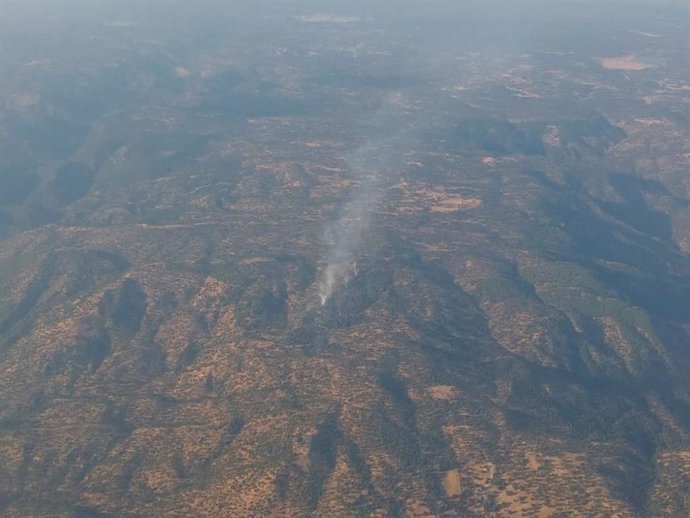 Incendio forestal en la zona de Arroyo Molino Alto.