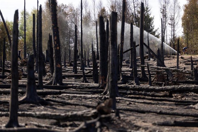 Bomberos combaten focos ocultos de brasas en el incendio forestal de Saalfelder, en Turingia, Alemania