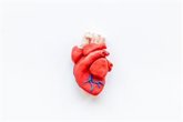 Foto: Revolución en cardiología: el 86% sobrevive al shock estructural gracias a técnica sin cirugía