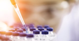 Investigación