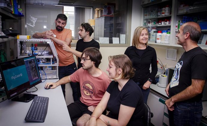 Archivo - Ivace+i financia una plataforma para predecir problemas de salud en la vejez y acelerar nuevos fármacos