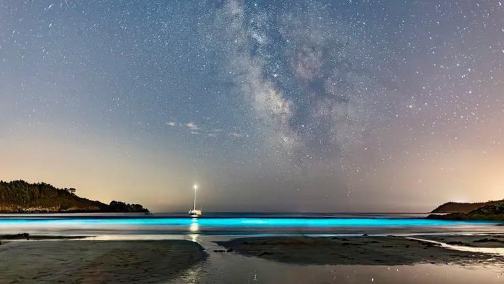 La Playa Que Brilla En La Oscuridad En Cee