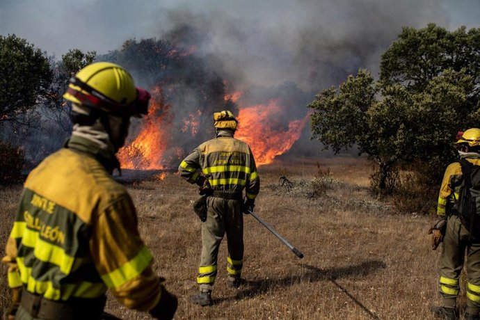 Archivo - Varios bomberos trabajan en la extinción del fuego en un incendio en Castilla y León.