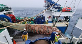 Pesca Galicia