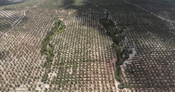 Andalucía