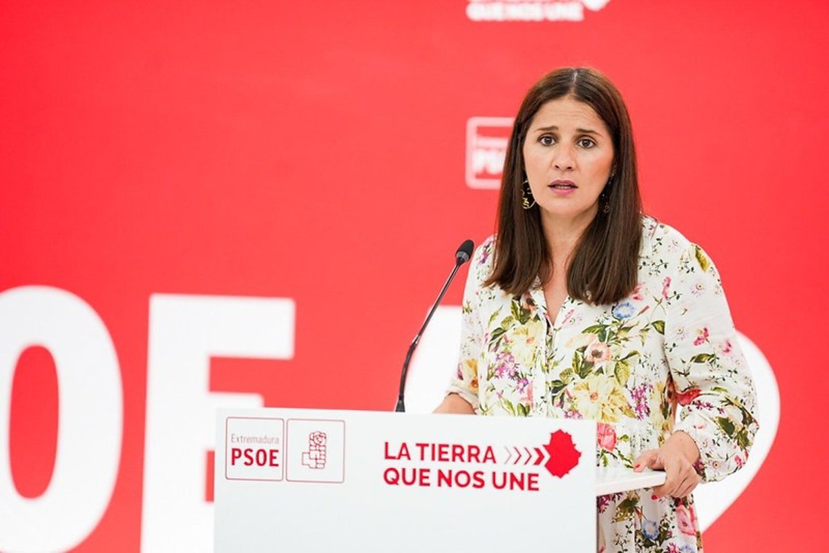 Gallado propuso en el Comité Federal que el PSOE se presente como acusación particular en las causas judiciales