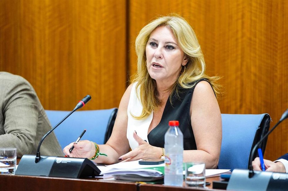 La consejera de Economía y portavoz del Gobierno, Carolina España, en una imagen de archivo.