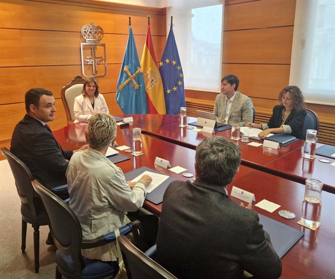 Reunión del consejo de Gobierno del Principado de Asturias presidido por la vicepresidenta Gimena Llamedo.