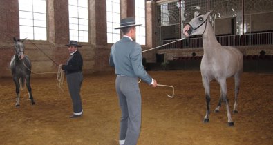 Es Andalucía - Córdoba