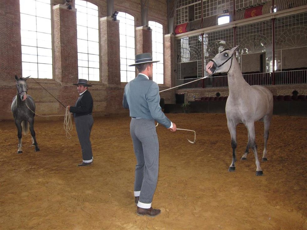 Archivo - Adiestramiento de caballos en las Caballerizas Reales de Córdoba.