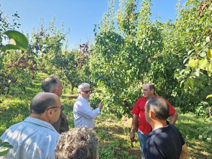 El departamento de Agricultura destinará un primer plan ampliable de ayudas con fondos propios por valor de 500.000 euros este 2025.