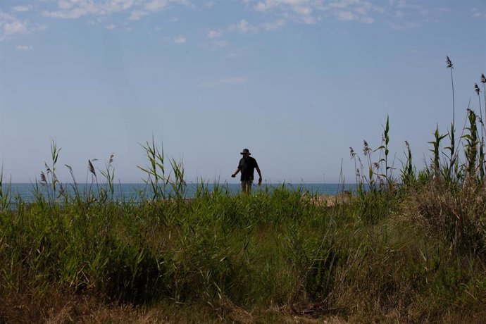 Archivo - Un agricultor