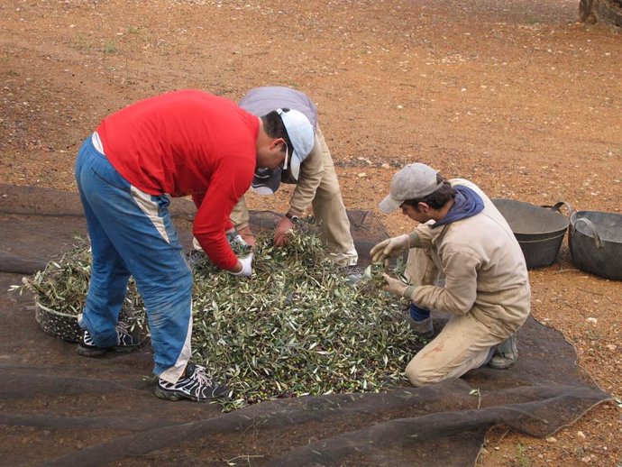 Archivo - La Unió denuncia que desde 2021 no hay ayudas para incorporación de jóvenes en la Comunitat Valenciana 