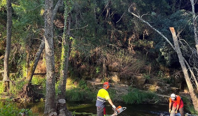 Trabajos de recuperación del arroyo Rivera del Ciudadeja, en la Sierra Norte de Sevilla.