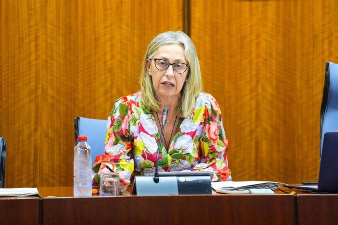 La consejera de Salud y Consumo de la Junta de Andalucía, Rocío Hernández, en comisión parlamentaria. Imagen de archivo. 