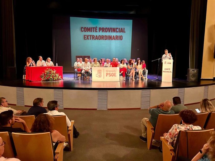 El secretario general del PSOE de Granada, Pedro Fernández, durante su intervención en el Comité Provincial Extraordinario.
