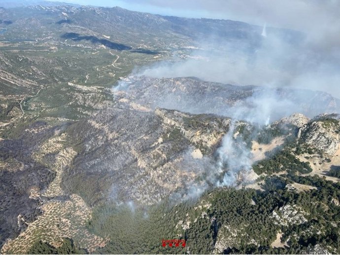 O incêndio florestal de Paüls (Tarragona)