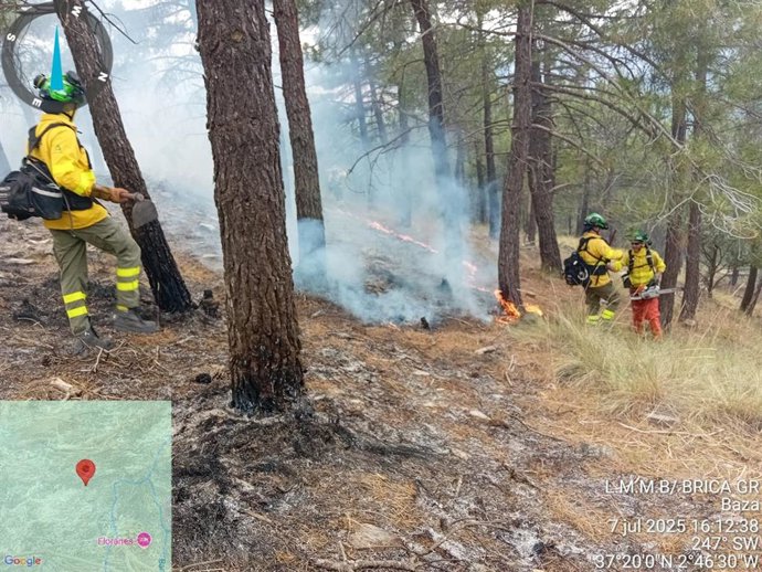 Fuego forestal en Baza