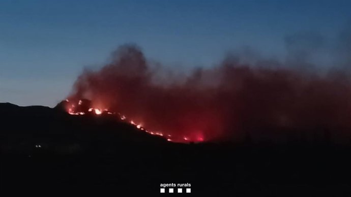 El incendio de Paüls (Tarragona) que afecta a unas 570 hectáreas de terreno mayoritariamente forestal