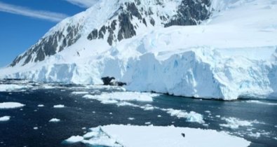 Cambio Climático