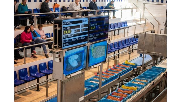 Archivo - El Govern destina 2,7 millones en ayudas a cofradías de pescadores y sus federaciones