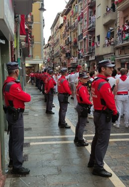 Agentes de la Policía Foral.