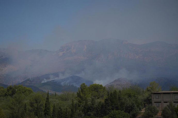 Humo del incendio de Paüls desde la carretera de Roquetes a Els Reguers, en Roquetes, Tarragona.