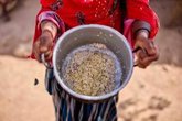Foto: SESPAS denuncia que las guerras empujan al hambre a casi 300 millones de personas en el mundo