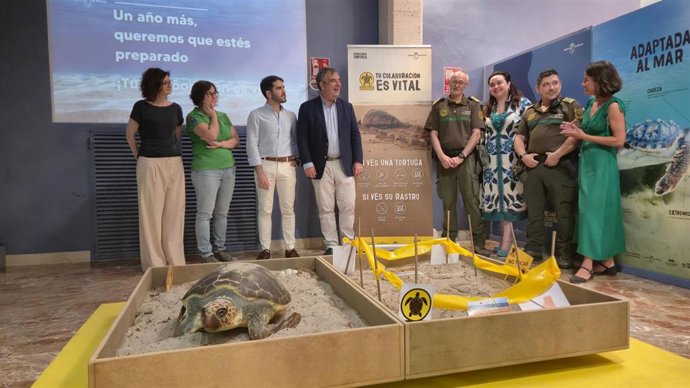 Nuevo espacio expositivo permanente ‘Territorio Tortuga' en el Museo de la Ciencia y el Agua de Murcia