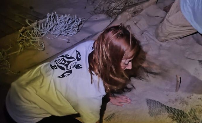 Zona donde se localizó el cuarto nido de tortuga marina, en este caso en El Puig