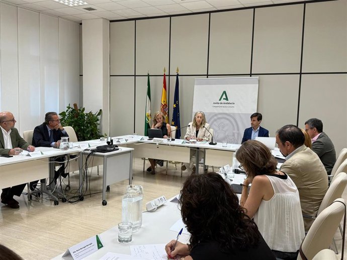 Comisión interdepartamental presidida por la consejera de Salud y Consumo, Rocío Hernández.