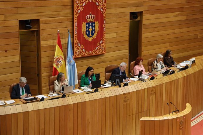 Archivo - Momento del pleno de la Cámara gallega el 7 de mayo de 2025.