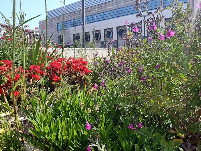 Artium Museoko lorategia