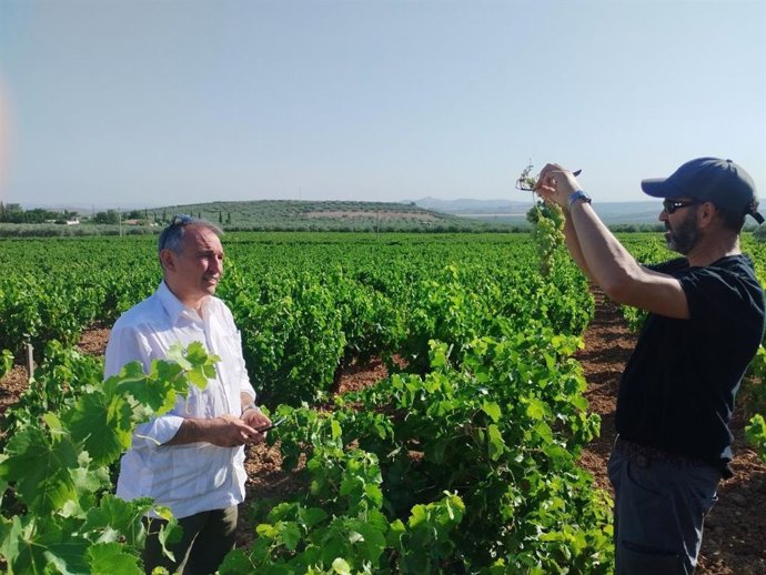 Enrique Santiago (izda.), durante su visita a los viñedos de Montilla.