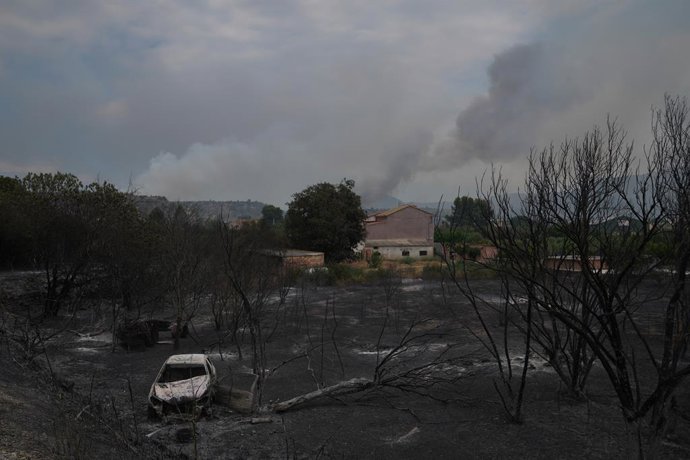 Un vehicle calcinat per l'incendi de Paüls (Tarragona)