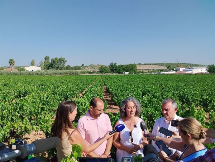 Enrique Santiago (dcha.), en la atención a medios en un viñedo de Montilla junto a Rosa Rodríguez (centro) y Sebastián Pérez (izda.)