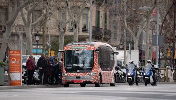 Aldia economies