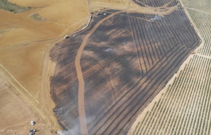 Controlado un fuego en Baños de Valdearados (Burgos) tras calcinar más de doce hectáreas de terreno agrícola