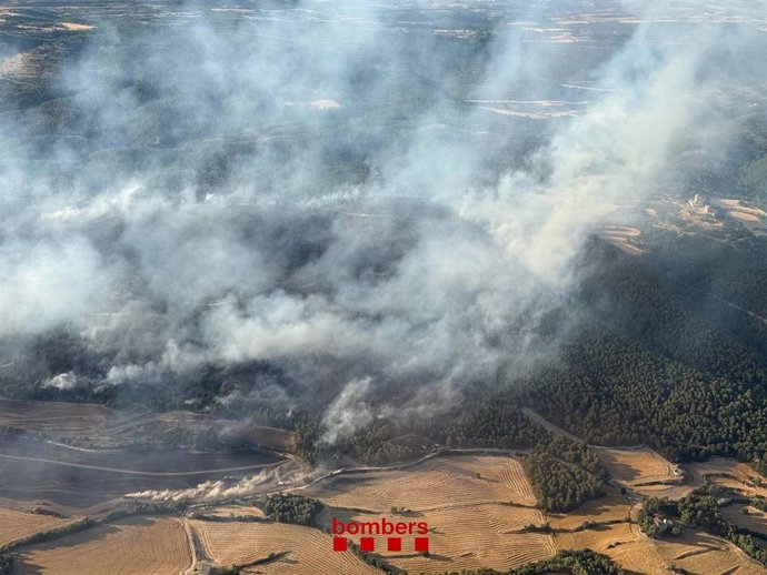 El incendio en Sant Pere Sallavinera (Barcelona)