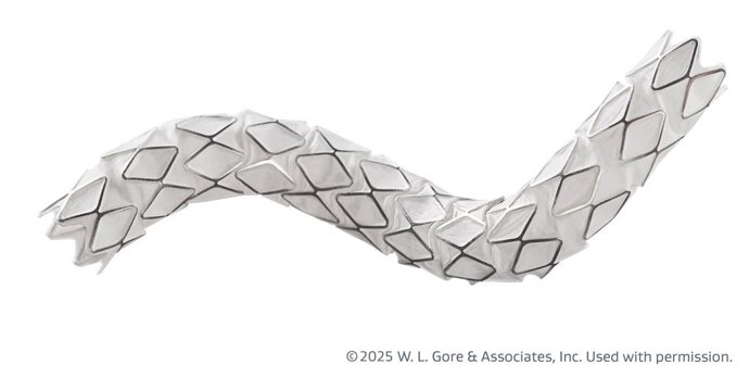 GORE VIABAHN VBX Balloon Expandable Endoprosthesis