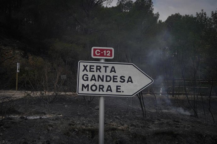 Restos del incendio de Paüls en la carretera de Aldover, a 8 de julio de 2025, en Aldover, Tarragona, Catalunya (España).