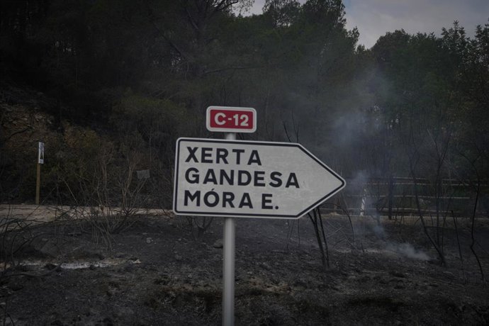 Restes de l'incendi de Paüls ala carretera d'Aldover, a 8 de juliol de 2025, a Aldover, Tarragona, Catalunya (Espanya).