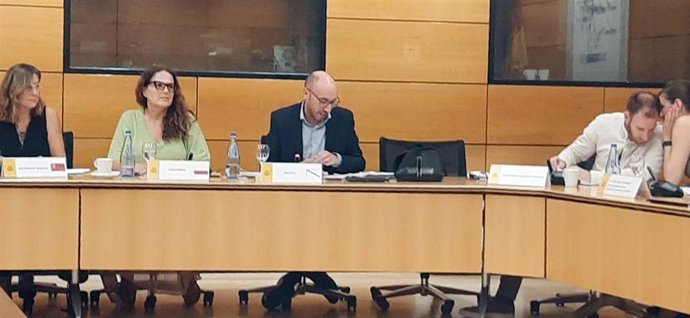 La directora del ICASS en la Comisión Sectorial de Infancia celebrada en Madrid.