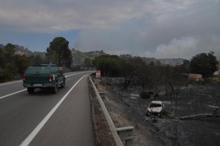 Un vehicle calcinat per l'incendi de Paüls, a 8 de juliol de 2025, a Aldover, Tarragona, Catalunya (Espanya).