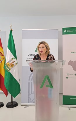 La delegada territorial de Empleo, Empresa y Trabajo Autónomo de la Junta de Andalucía en Málaga, Carmen Sánchez Sierra, en rueda de prensa