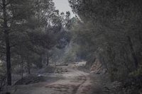 Estabilizado en un 90% el perímetro del incendio de Paüls (Tarragona)