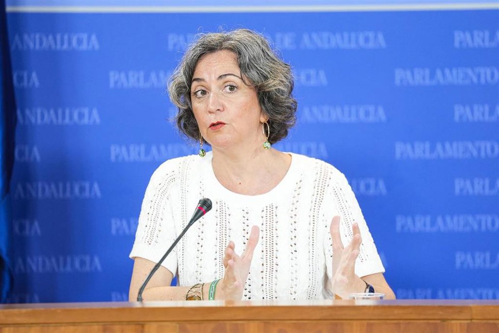 La diputada del Grupo Mixto-Adelante Andalucía, Begoña Iza, este miércoles en rueda de prensa. 