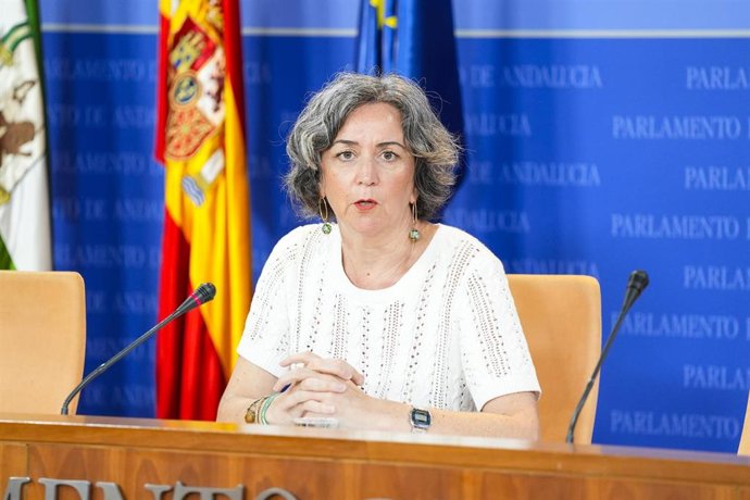 La parlamentaria del Grupo Mixto-Adelante Andalucía, Begoña Iza, este miércoles en rueda de prensa. 