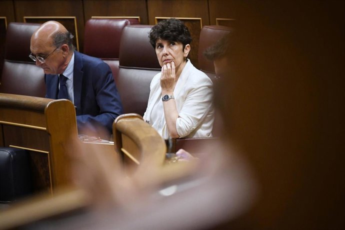La portavoz del PNV en el Congreso, Maribel Vaquero, durante una sesión plenaria en el Congreso 