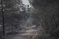 Estabilitzat en un 90% el perímetre de l'incendi de Paüls (Tarragona)